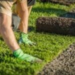 Everything You Need to Know About Grass Rolls and Turf Laying Services