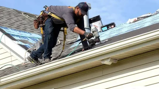 Expect from Professional Roof Repair