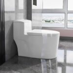 Choosing the Right Large Trapway Toilets for Home