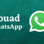 Fouad WhatsApp: The Ultimate Messaging App for Customization and Enhanced Features