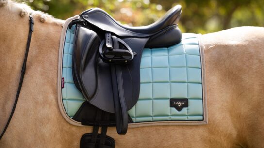 Innovative Materials in Modern Saddle Pads